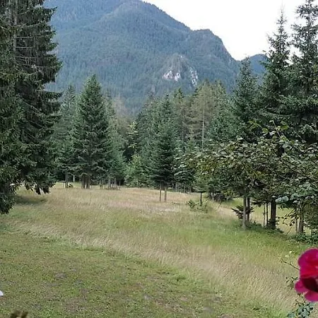 Holiday home Alpine Wooden House Jesenice
